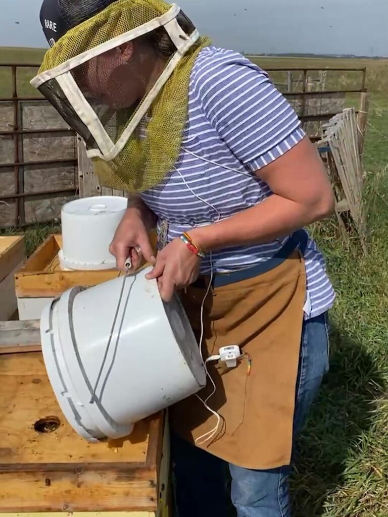 Eliese placing the bucket of syrup onto the hive.